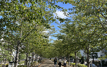 休日♪ 大柳直子