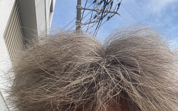 良い天気です。 アトレヒロシ