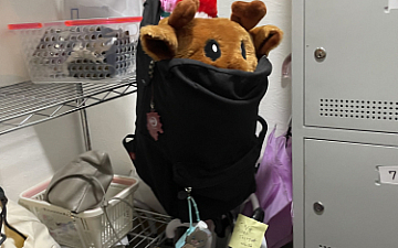 トナカイがいました。 attraitヒロシ