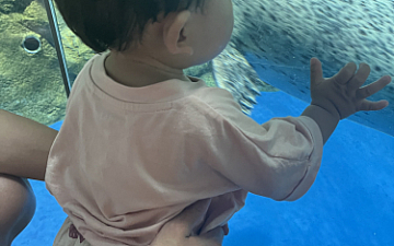 水族館 大柳直子