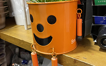 なんか居ました attraitヒロシ