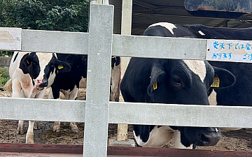 こどもの国 attrait藤沢 (ゆうか)