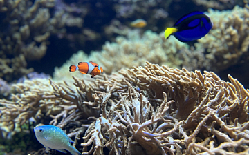 新潟に行ってきました!(アシスタントゆうか)