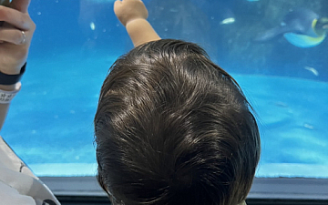 八景島シーパラダイス attrait藤沢 (ゆうか)